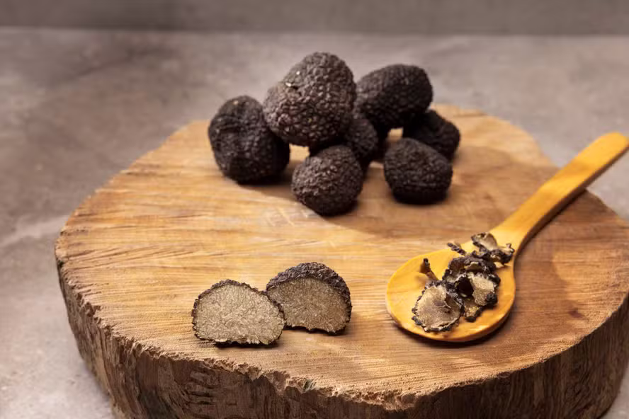 Pratos com tartufo