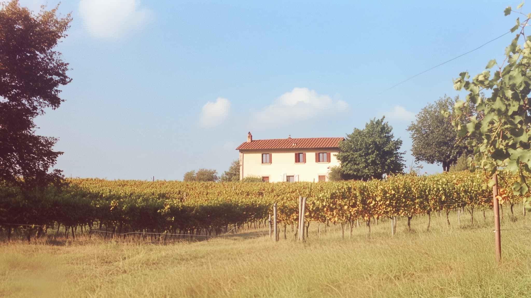 Vinícola italiana