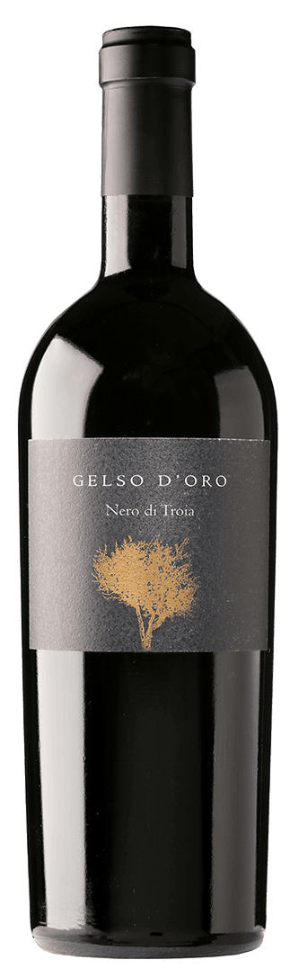 Gelso D'Oro Nero di Troia