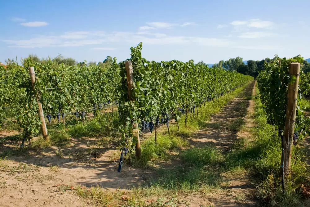 Toscana region