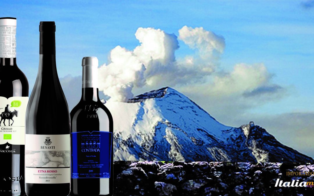 Importadora Italiamais apresenta vinho biovegano e tintos especiais de solos vulcânicos da Sicília